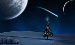 Background ng Christmas Tree — Christmas Tree Wallpaper