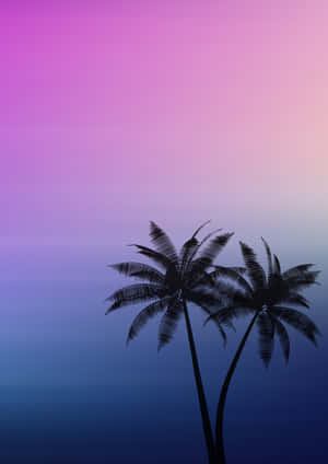 Palm Trees Background
