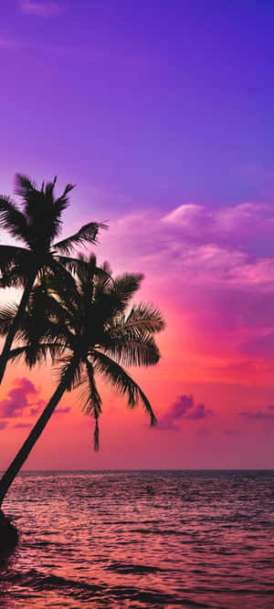 Palm Trees Beach Scenic Sunset Malibu — Pixel 11 Wallpaper
