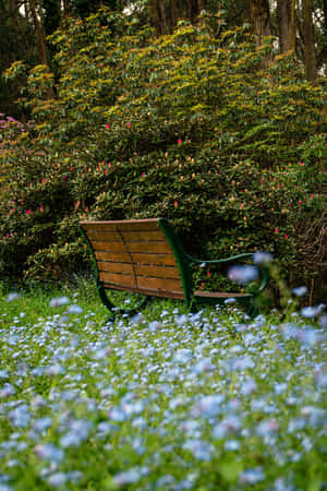 Park Bench Blue Flowers Phone — Huawei MatePad 11.5 (2026) Wallpaper