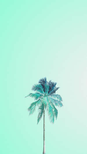 Pastel Green Background