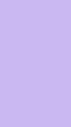 Solid Color Phone