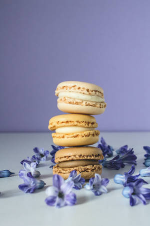 Pastel na iPhone Beige na Macaroons — Aesthetic iPhone Wallpaper