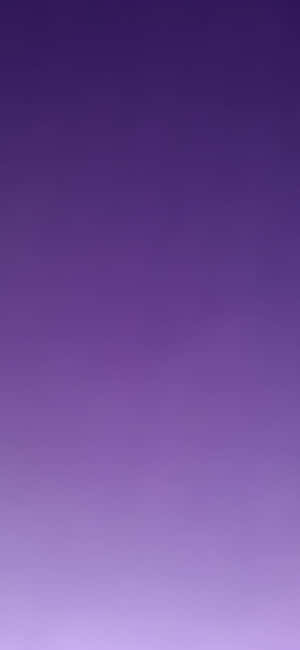 Purple Gradient Background — Pixel 11 Pro Wallpaper