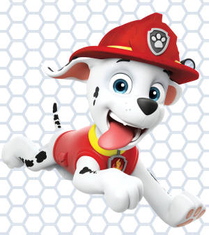 Paw Patrol Marshall wallpaper — Nubia Flip Wallpaper