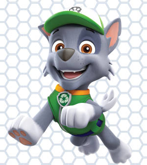 Paw Patrol Rocky wallpaper — Nubia Fold Wallpaper