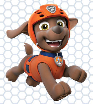 Paw Patrol Water Rescuer Zuma wallpaper — Vivo X Fold Wallpaper