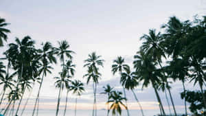 Mga larawan ng Aesthetic Beach — Aesthetic na dalampasig Wallpaper