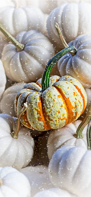 A Thanksgiving iPhone Pile Of Pumpkins — iPhone 17 Wallpaper
