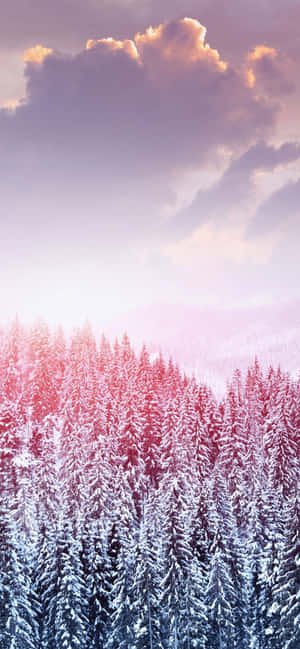 Iphone Xs Max Winter Background — iPhone Air Wallpaper