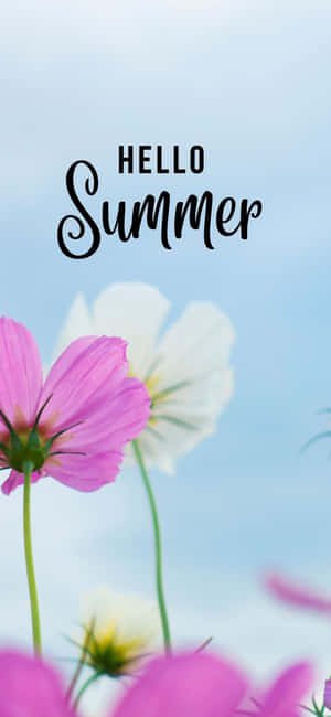 Iphone X Summer Background — OnePlus 12 Wallpaper