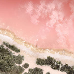 Pink Lake Top View iPad wallpaper