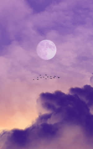 Pink Moon — Moto Pad 70 Pro Wallpaper