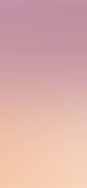 Pink Ombre Background — Pixel 8 Wallpaper