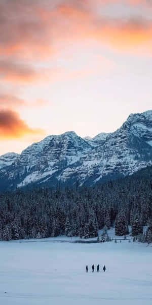 Pixel 3 Background ng Taglamig — Winter Wallpaper