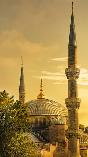 Portrait ng Blue Mosque sa Ginintuang Oras