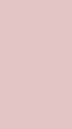Solid Color Phone