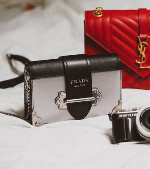 Wallpaper ng Prada at YSL na Bags — Nubia Flip Wallpaper