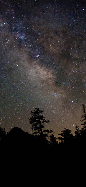 Pretty Galaxy Mountain Forest — Pixel 9 Pro Wallpaper