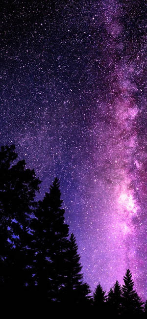 Pretty Galaxy Tree Tops — ROG Phone 9 FE Wallpaper