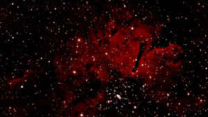 Pulang Kalawakan — Stars Wallpaper