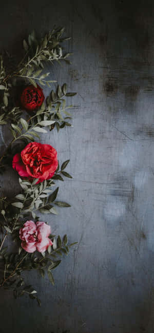 Background ng Rosas — Huawei Enjoy Wallpaper
