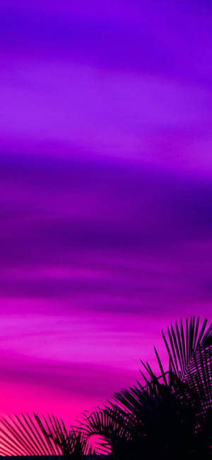 Lila Aesthetic Phone Paglubog ng Araw — Galaxy S26 Wallpaper