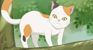 Mga larawan ng pusang anime — Pusang anime Wallpaper