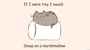 Pusheen na Natutulog sa Marshmallow wallpaper — ROG Ally Wallpaper