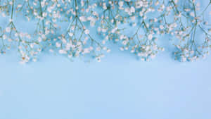 Puspusin ang iyong araw ng positibidad at kagandahan. — Nakatutuw na asul Wallpaper