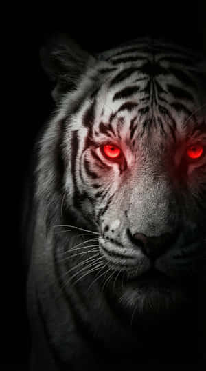 Kumikinang na Pulang Mata, Puting Tigre, Tigre para sa Iphone, Estetika ng Tigre, Madilim na 4K, Pantasya, Pulang Mata, Hayop, wallpaper ng telepono,