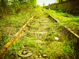 Railroad Pictures