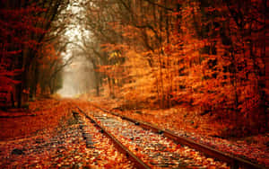 Mga Kulay ng Taglagas — Autumn Wallpaper