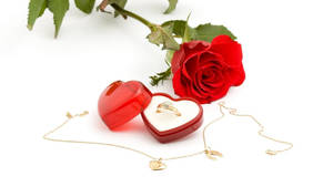 Heart ring box na may gintong diyamanteng singsing at gintong kwintas na nakakalat sa puting ibabaw na may mahabang-stemmed pulang rosas sa likuran para sa isang proposal sa Valentine's Day.