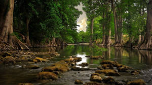 Rocky Forest River wallpaper
