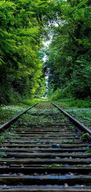 S10 railroad green trees wallpaper