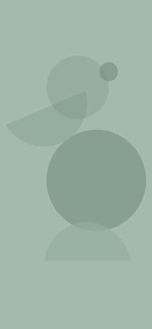 Sage Aesthetic Circle And Semicircle — iPhone Xs Wallpaper