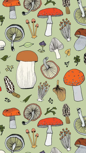 Sage Green na Vintage na Cute na Mushroom at Flora Mix — Mushroom Aesthetic Wallpaper