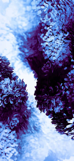 Samsung background — Galaxy S25 Wallpaper