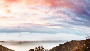 Famous bridge of San Francisco for Macbook