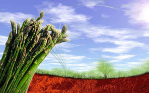 Sariwa at masustansiyang gulay na asparagus