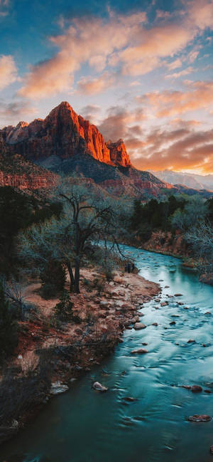 Seksyon ng Zion Narrows sa Zion National Park — Kalikasan Wallpaper