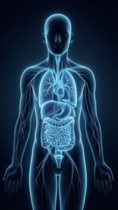 Isang elegante silweta ng tao na may kumikinang na immune system sa loob. — iPhone 5 Wallpaper