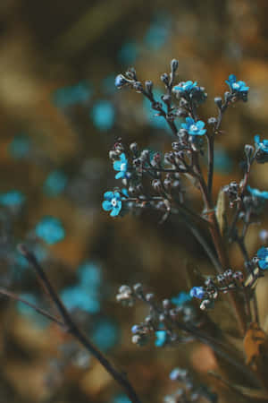 Small Buds Blue Flowers Phone — Floral iPhone Wallpaper