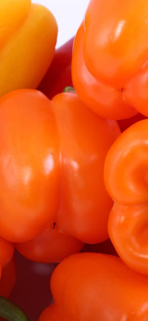 Smooth Orange Bell Peppers wallpaper