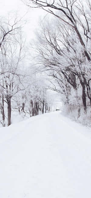 Iphone Xs Max Winter Background — iPhone 14 Pro Max Wallpaper