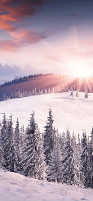 Iphone Xs Max Winter Background — Pixel 8 Wallpaper