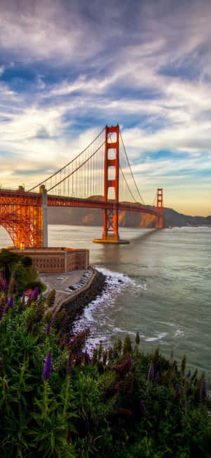 Iphone X California Background — Samsung S23 Wallpaper