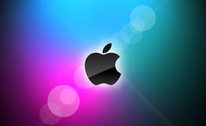Soft Colors Macbook Air