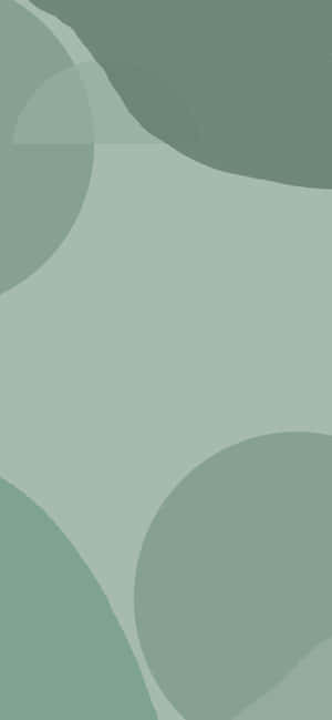 Sage Green Aesthetic pictures — Pixel 7 Wallpaper